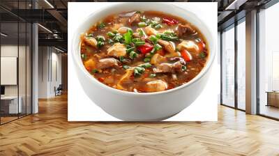 [Transparent Background PNG]A bowl of hot and sour soup with tofu and vegetables Wall mural